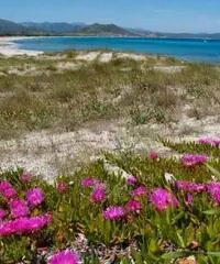 Vacanze Sardegna. Camera doppia Tramonto