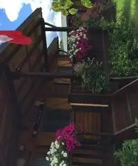 Splendido chalet Splendido chalet