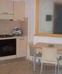 GROTTAMMARE RIVIERA DELLE PALME