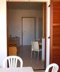 GROTTAMMARE RIVIERA DELLE PALME