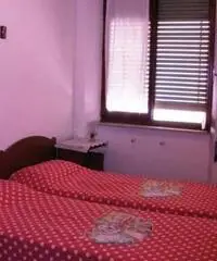 Zona centro e vicino mare Zona centro e vicino mare