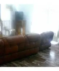 Zona centro e nei pressi del mare Zona centro e nei pressi del mare