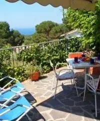 ELBA LAST MINUTE 11/18 Giugno, appartamento 4px 200€