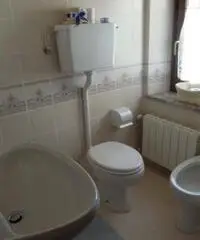 La Valcomelico un patrimonio naturale fr#224; le Dolomiti La Valcomelico un patrimonio naturale fr#224; le Dolomiti