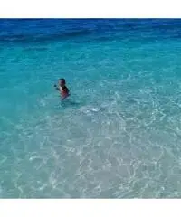 Appartamenti vista mare