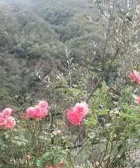 Appartamento a Hone con bellissima vista sul Forte di bard