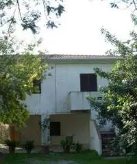 Casa indipendente con 2 alloggi - Isola d'Elba