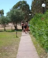 VILLAGGIO PORTO KALEO FITTO