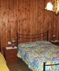 Weekend e feste sul monte amiata funghi e castagne