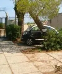 Villetta immersa nel verde a due passi dal mare