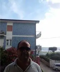 Cerco l anima gemella Cerco l anima gemella