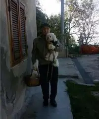 Enrico 72 anni Enrico 72 anni