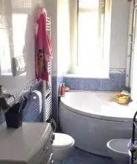 TRILOCALE ristrutturato, 80 mq doppia esposizione TRILOCALE ristrutturato, 80 mq doppia esposizione