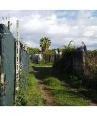 Vendita Agricolo in Via Cuma Licola, 00