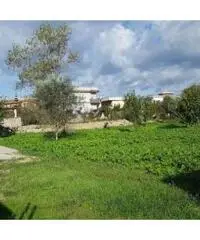 Vendita Agricolo in Via Cuma Licola, 00