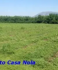 Vendita Agricolo in Via Boscofangone