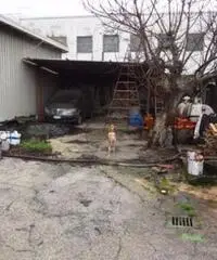 Vendita Agricolo in Strada Provinciale San Vito - Scisciano