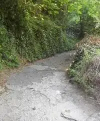 Vendita Agricolo in Via Circonvallazione