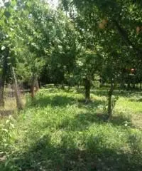 Vendita Agricolo in via Malatesta Vendita Agricolo in via Malatesta