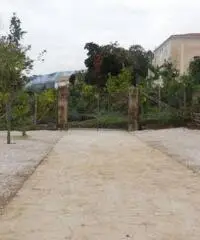 Vendita Agricolo in Via Mortella Vendita Agricolo in Via Mortella