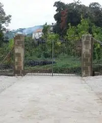 Vendita Agricolo in Via Mortella Vendita Agricolo in Via Mortella
