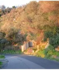 Vendita Agricolo in via IV Novembre