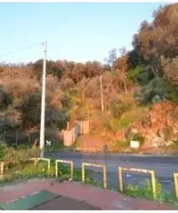 Vendita Agricolo in via IV Novembre