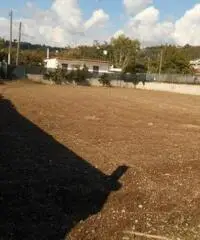 Affitto Agricolo in Via Marmolito