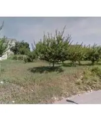 Vendita Edificabile residenziale in via pozzillo, -1