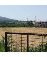 Vendita Agricolo in Via Masullo