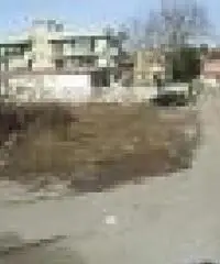 Vendita Agricolo in Via Seitolla