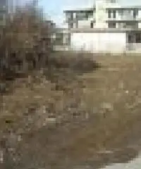 Vendita Agricolo in Via Seitolla