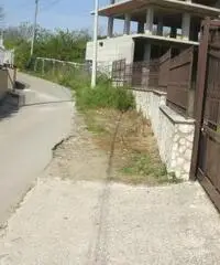 Vendita Agricolo in Via Pantaleo