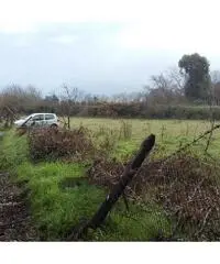 TERRENO AGRICOLO IN ZONA ABITATA