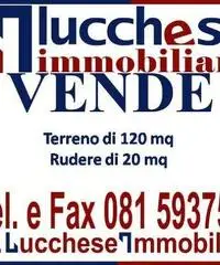 Professionale terreno non edificabile mq 120 Euro 35.000 Professionale terreno non edificabile mq 120 Euro 35.000