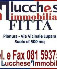 in affitto Professionale terreno non edificabile mq 500 Euro 400