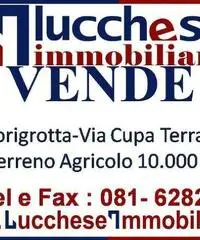 Professionale terreno edificabile mq 10000 Euro 200.000 Professionale terreno edificabile mq 10000 Euro 200.000