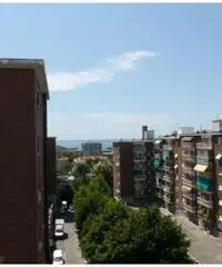 Trieste: Appartamento 4 Locali Trieste: Appartamento 4 Locali