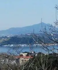 Vendita Immobile da 450mq