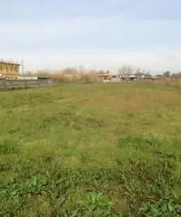 Lido Di Licola: Vendita Agricolo in Via Domitiana