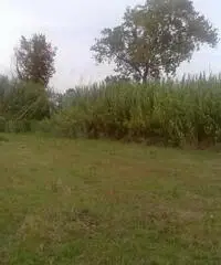 Vendita Agricolo da 3300mq