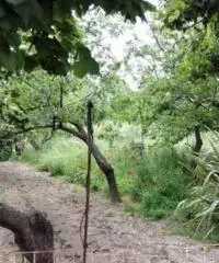 terreno agricolo 2100mq e casa indipendente 120mq