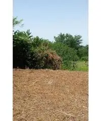 Monterusciello: Vendita Agricolo in Via Vicinale Canosa Monterusciello: Vendita Agricolo in Via Vicinale Canosa