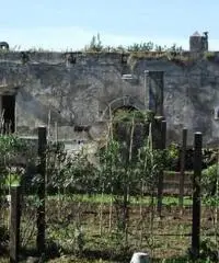 Vendita Multilocale in Via Privata Cigliano