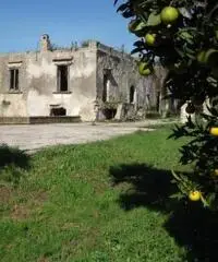 Vendita Multilocale in Via Privata Cigliano