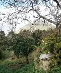 Vendita Immobile in Via Celle