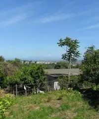 Monterusciello: Vendita Multilocale in Via Monterusciello