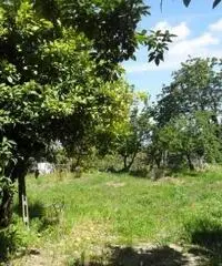 Monterusciello: Vendita Multilocale in Via Monterusciello