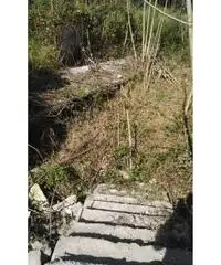 Vendita Edificabile residenziale in Via Antiniana