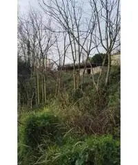 Vendita Edificabile residenziale in Via Antiniana